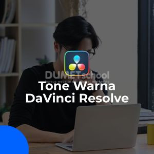 tone warna davinci resolve