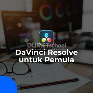 davinci resolve pemula